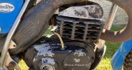 IMG 3916