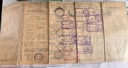 IMG 4461
