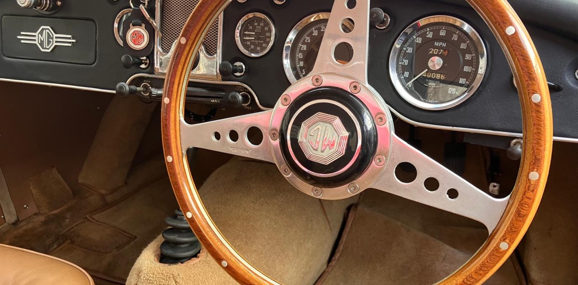 PHOTO 2024 11 13 13 29 54 5