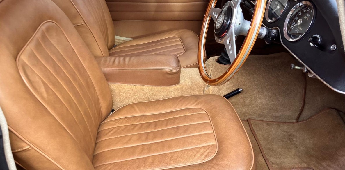 PHOTO 2024 11 13 13 29 54 7
