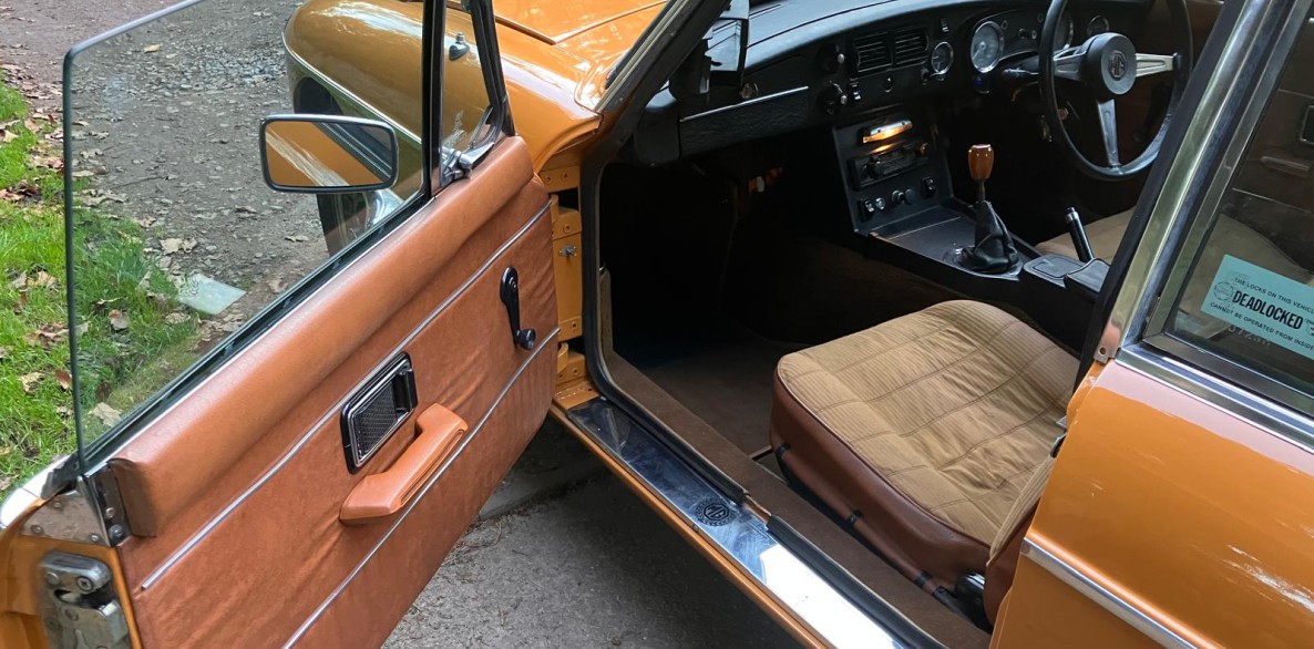 PHOTO 2024 11 13 15 43 33 13