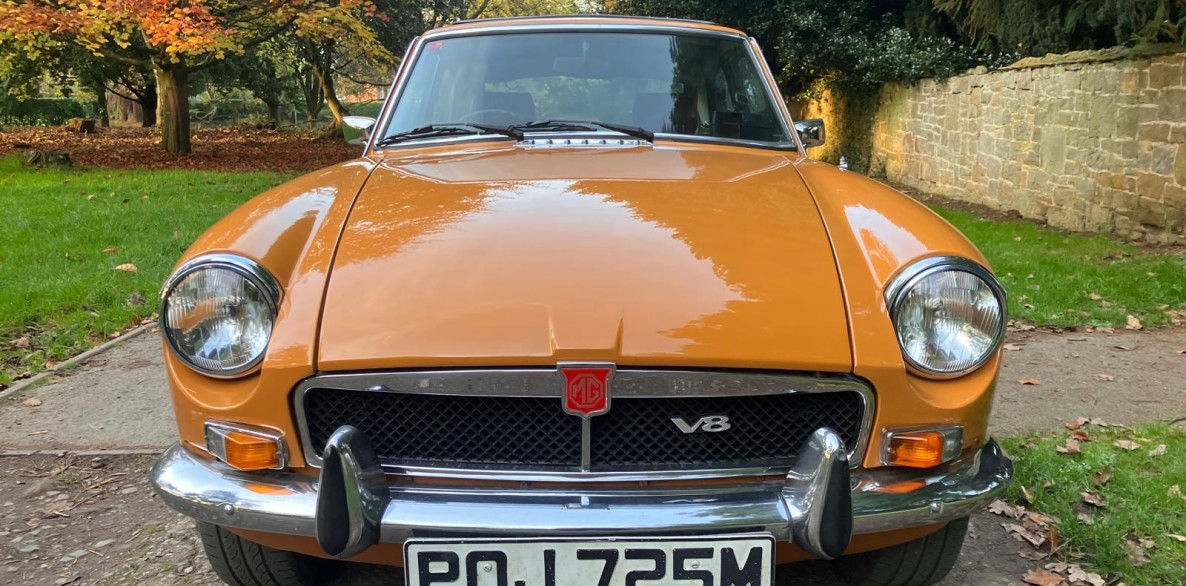 PHOTO 2024 11 13 15 43 33 14
