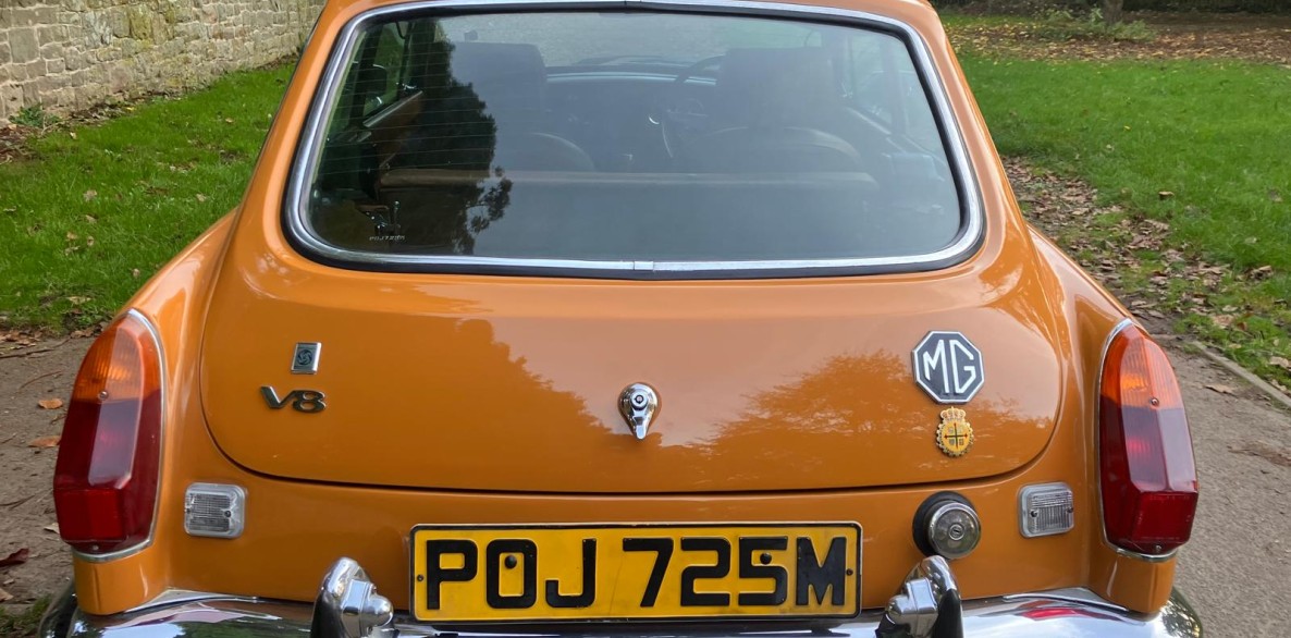 PHOTO 2024 11 13 15 43 33 6