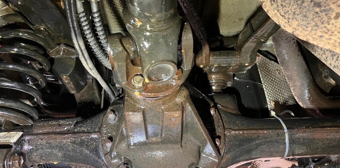 PHOTO 2025 10 23 11 02 04 2