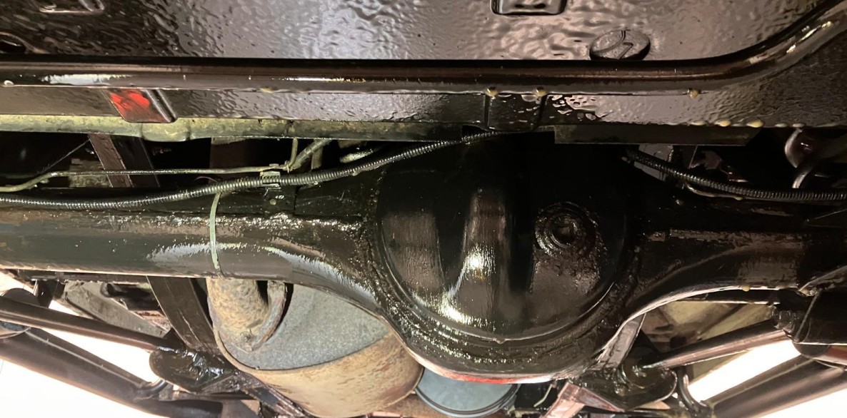 PHOTO 2025 10 23 11 02 04 3