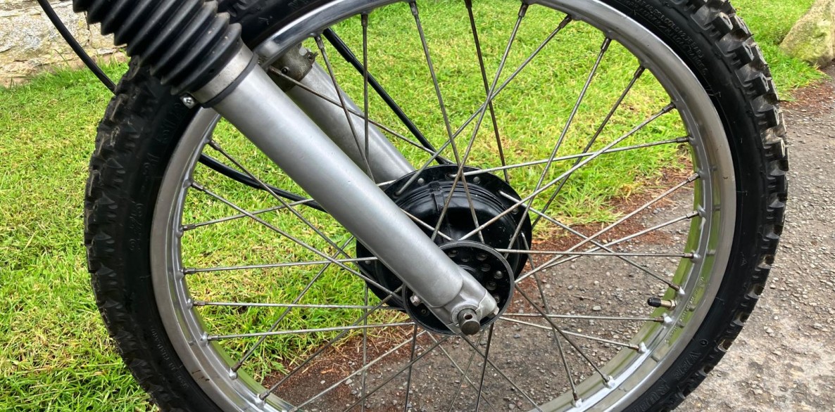 PHOTO 2026 06 11 15 41 51 14