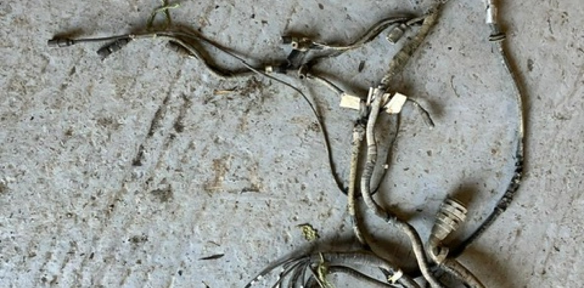 PHOTO 2026 06 24 13 27 31 37
