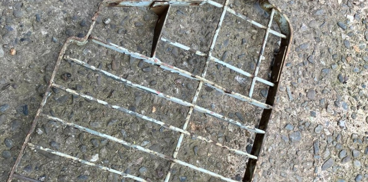 PHOTO 2026 06 25 12 37 29 37