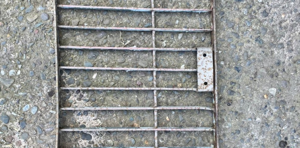PHOTO 2026 06 25 12 37 29 41