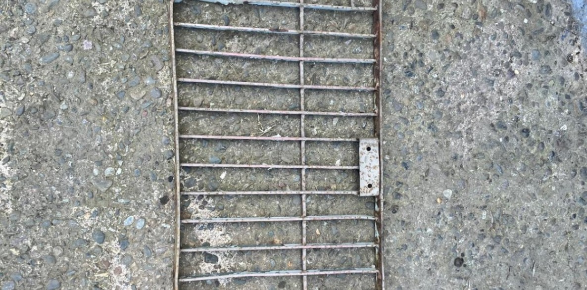 PHOTO 2026 06 25 12 37 29 42