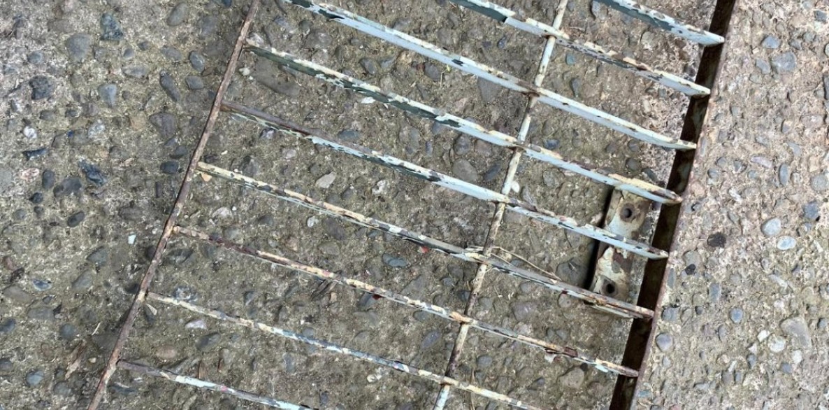 PHOTO 2026 06 25 12 37 29 43