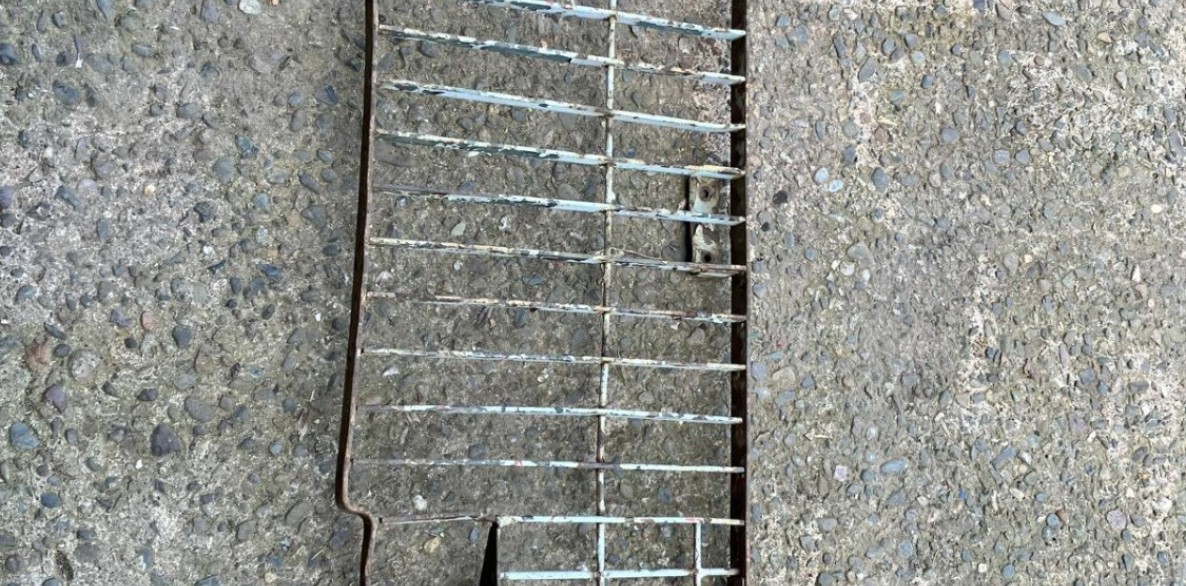 PHOTO 2026 06 25 12 37 29 49