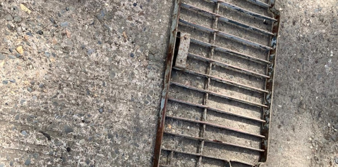 PHOTO 2026 06 30 12 08 09 26