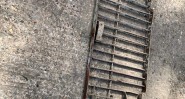 PHOTO 2026 06 30 12 08 09 26