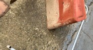 PHOTO 2026 06 30 12 08 09 27