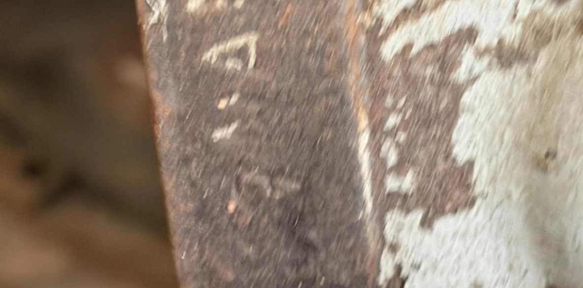 PHOTO 2026 06 30 12 56 13 19